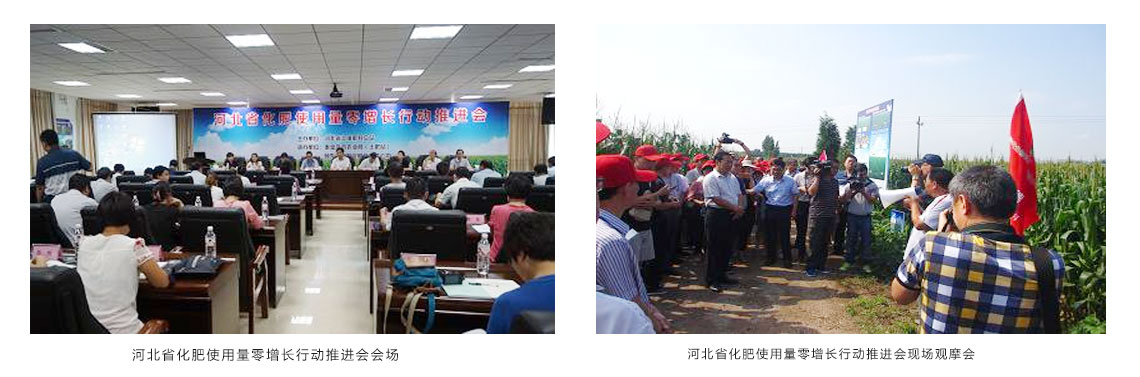 DG真人生物承办“河北省化肥使用量零增长行动推进会”顺利召开 DG真人生物承办“河北省化肥使用量零增长行动推进会”顺利召开