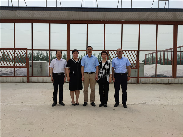 农业农村部微生物肥料和食用菌菌种质量监督检验测试中心李俊主任、姜昕主任来DG真人公司调研、指导事情 农业农村部微生物肥料和食用菌菌种质量监督检验测试中心李俊主任、姜昕主任来DG真人公司调研、指导事情