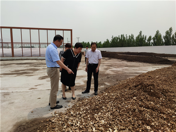 农业农村部微生物肥料和食用菌菌种质量监督检验测试中心李俊主任、姜昕主任来DG真人公司调研、指导事情 农业农村部微生物肥料和食用菌菌种质量监督检验测试中心李俊主任、姜昕主任来DG真人公司调研、指导事情