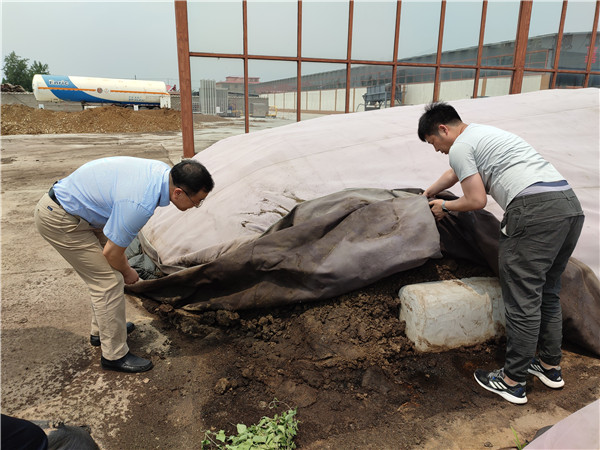 农业农村部微生物肥料和食用菌菌种质量监督检验测试中心李俊主任、姜昕主任来DG真人公司调研、指导事情 农业农村部微生物肥料和食用菌菌种质量监督检验测试中心李俊主任、姜昕主任来DG真人公司调研、指导事情