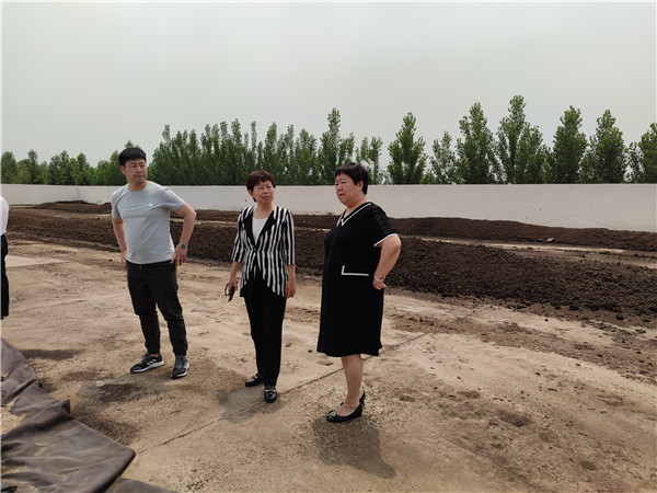 农业农村部微生物肥料和食用菌菌种质量监督检验测试中心李俊主任、姜昕主任来DG真人公司调研、指导事情 农业农村部微生物肥料和食用菌菌种质量监督检验测试中心李俊主任、姜昕主任来DG真人公司调研、指导事情