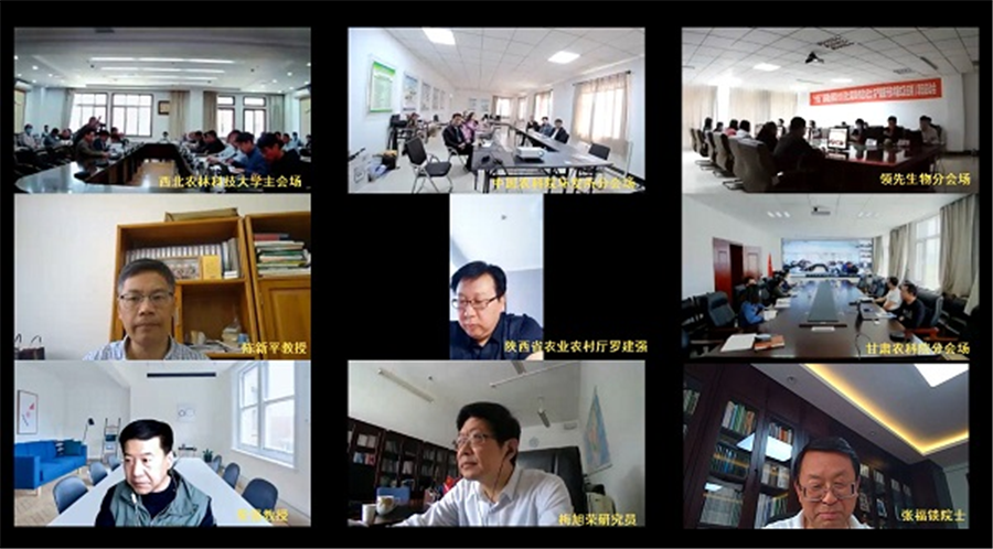 DG��������������ص��з��ƻ���������ԭ������ˮ�����������������ģʽ��Ӧ�á���Ŀ����