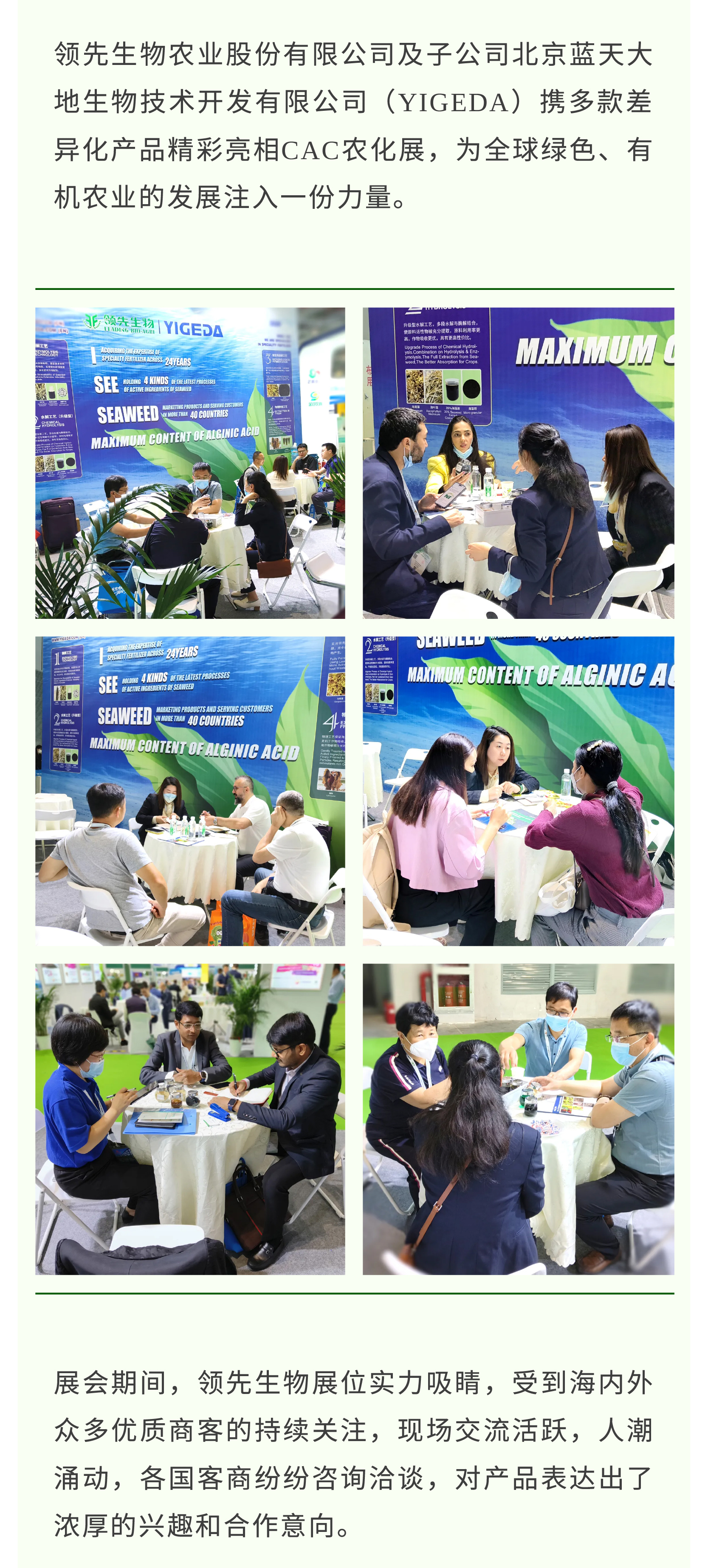 �ڻ����� ��Ӯδ�� | DG���������23��CACչ��Բ����Ļ