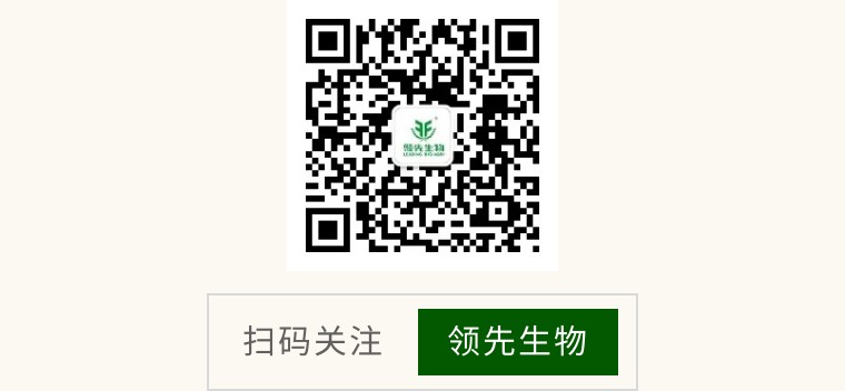 �������� �����ͼ | DG��������ʵ������2023CNCIC���ַ��ϴ��