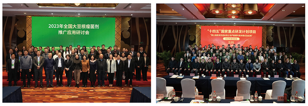 DG���������ƽ���������Ӧ�������󶹲�������