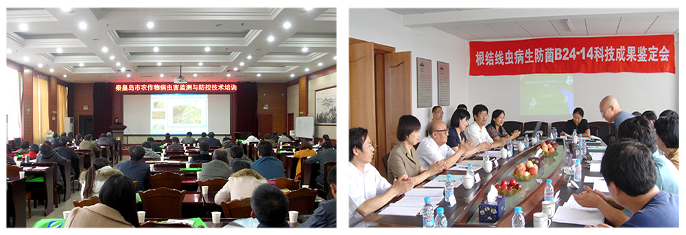 DG������������������ǽ���ƹϸ����߳�����