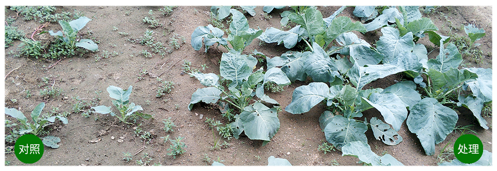 �¼�������Ԫ��ˮ�ܷ�Ӧ�ð���